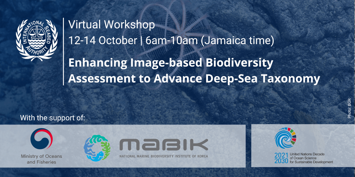 ISA online Workshop on Enhancing Image-based Biodiversity Assessments to Advance Deep-sea Taxonomy - online