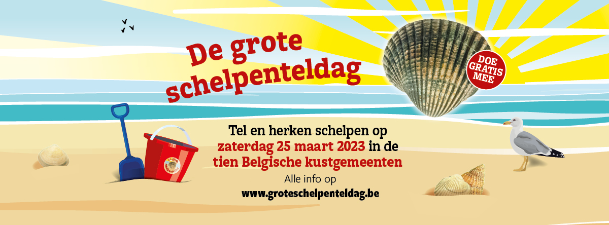 Belgian Big Seashell Survey 2023