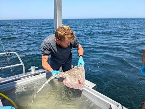 How a PhD problem became Europe's living map of aquatic life