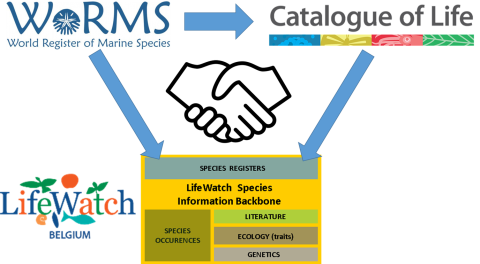 Aphia now compliant with the new Catalogue of Life Data Package (COLDP) format and exporting several WoRMS subregisters