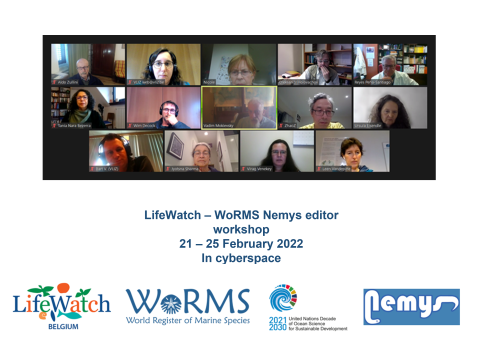 LifeWatch-WoRMS Nematoda Editor Workshop