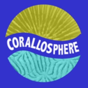 Corallosphere integrated into the World List of Scleractinia