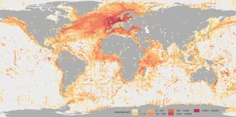 European Ocean Biogeographic Information System (EurOBIS) celebrates its 15th anniversary