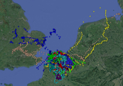 The LifeWatch Gulls and Harriers: who are they, what do they do, and where are they going?