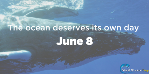 8 June: World Oceans Day!