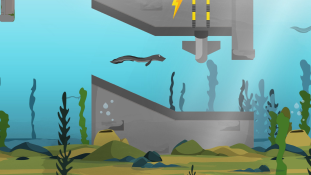 Use your gaming skills to save the eel!