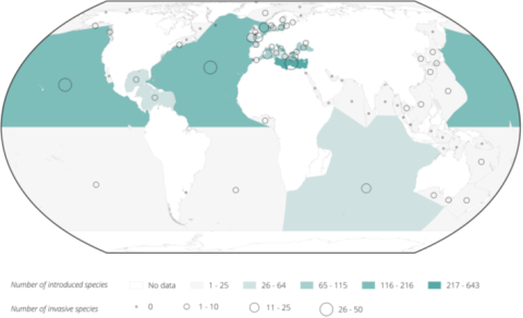 Formally introducing: the World Register of Introduced Marine Species (WRiMS)