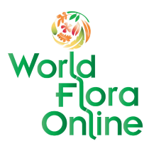 The World Flora Online & the International Compositae Alliance join forces