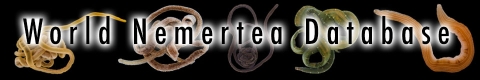Nemertea Portal launched!