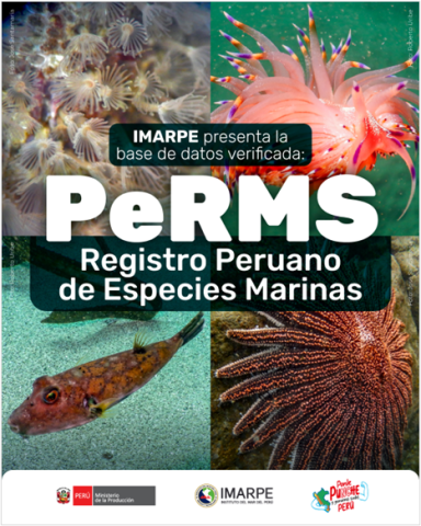 IMARPE presents the Peruvian Register of Marine Species platform IMARPE presents the Peruvian Register of Marine Species platform
