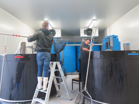 New: water tanks for marine organisms at the Marine Station Ostend