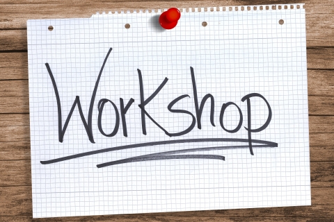 Call for applications - LifeWatch funds available to organize editor workshops in 2017-2018