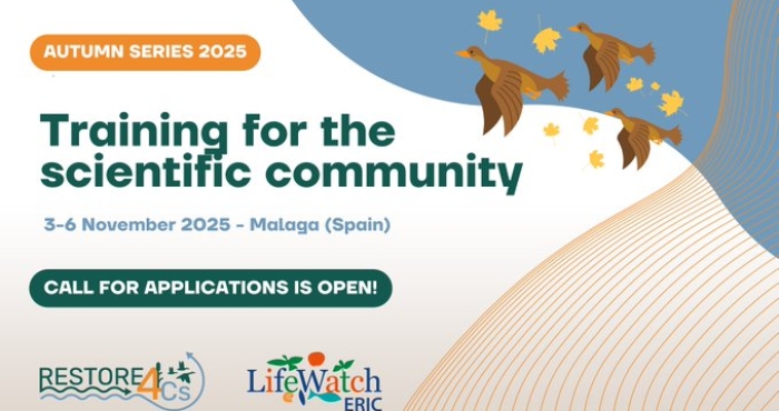 RESTORE4Cs Autumn Series 2025