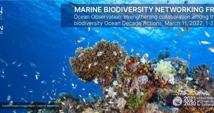 Marine Biodiversity Networking Fridays