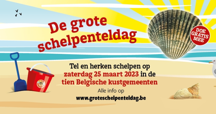 Belgian Big Seashell Survey 2023