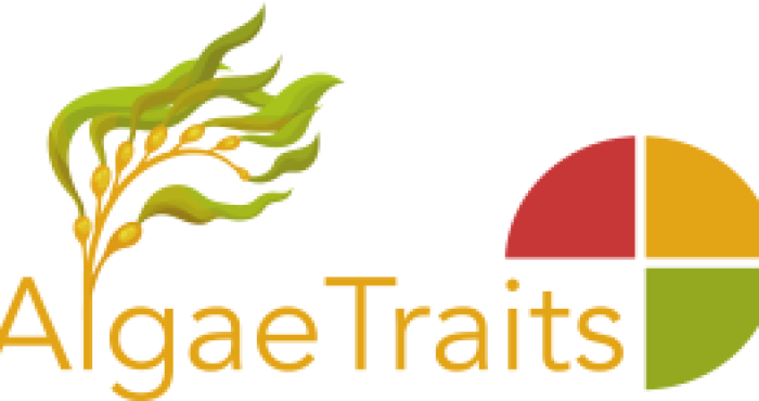 Official launch of AlgaeTraits, a trait database for (European) seaweeds
