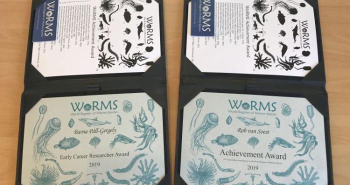 Awardees for the 2019 WoRMS Achievement & Early Career Researchers Award known