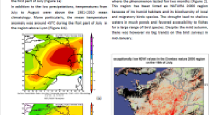 What are the ecological Implications of the drought in July and August in the Ain (France)?