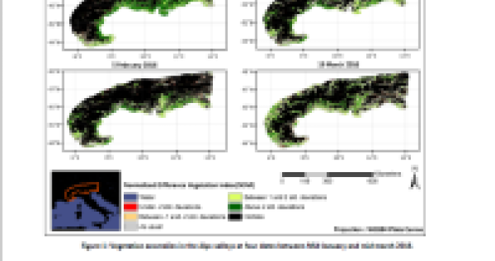 Why was there higher than usual vegetation greenness in Italian Alps valleys?