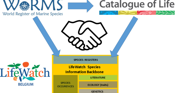 Aphia now compliant with the new Catalogue of Life Data Package (COLDP) format and exporting several WoRMS subregisters