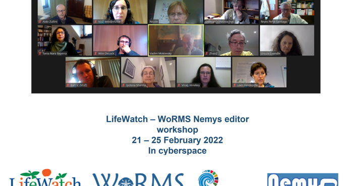 LifeWatch-WoRMS Nematoda Editor Workshop