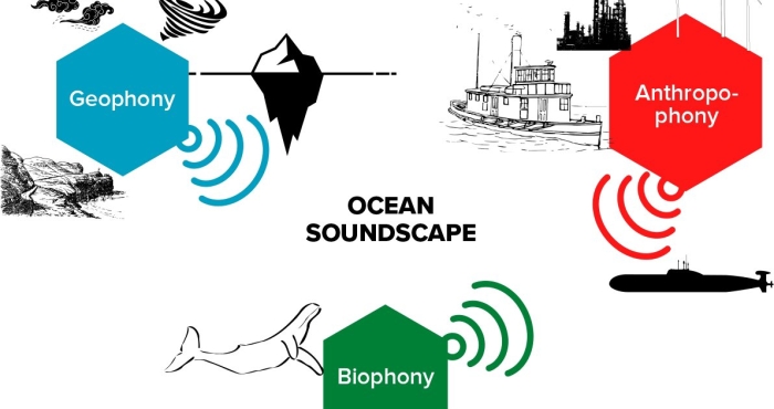 What is the difference in the soundscape of the Gulf of Tribugá in Colombia and the Belgian Part of the North Sea?