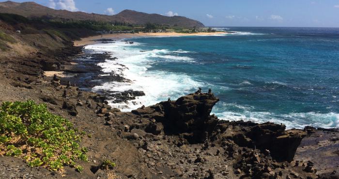 Streamlining of the environment flags on all higher taxonomic levels