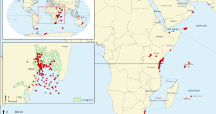 NEW DATA PAPER: Biodiversity data rescue in the framework of a long-term Kenya-Belgium cooperation in marine sciences.