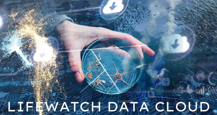 The LifeWatch Data Cloud is launched!