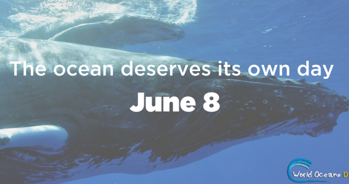 8 June: World Oceans Day!