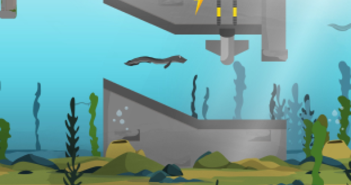 Use your gaming skills to save the eel!