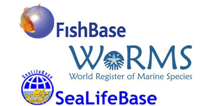 WoRMS, FishBase and SeaLifeBase sign a Memorandum of Understanding