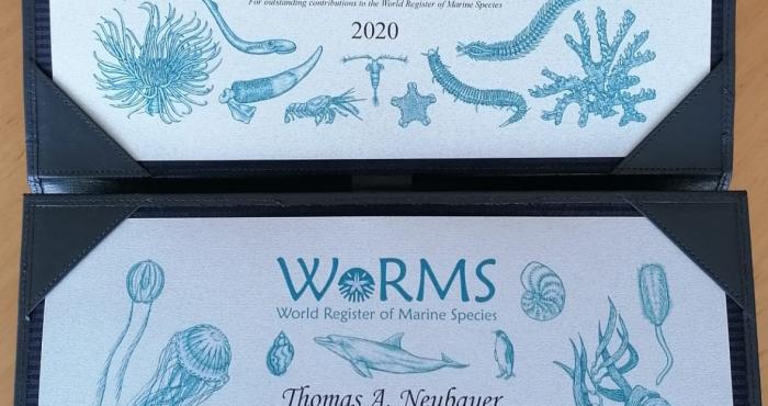 Awardees for the 2020 WoRMS Achievement & Early Career Researchers Award known