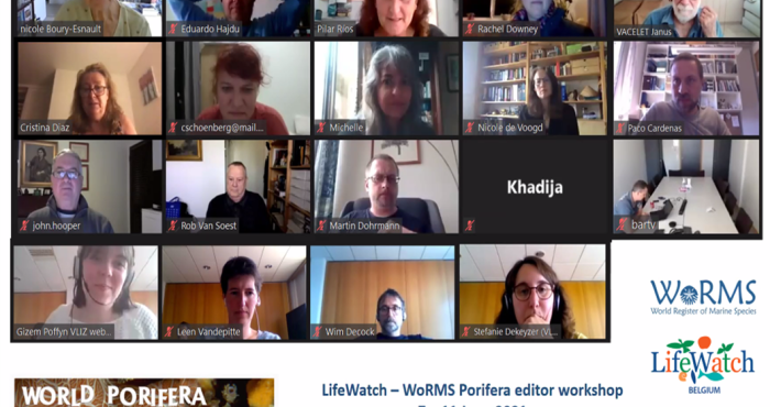 Porifera editors participated in the very first online organised WoRMS-LifeWatch editor workshop