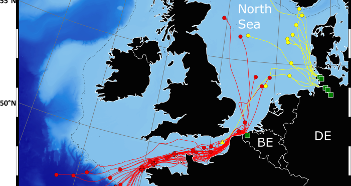 Mapping the eel migration routes 