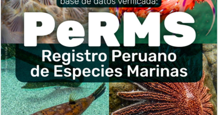 IMARPE presents the Peruvian Register of Marine Species platform