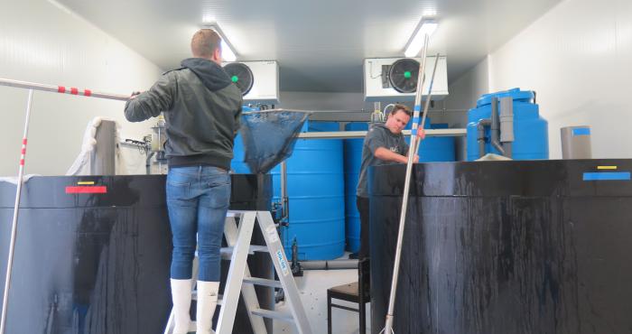 New: water tanks for marine organisms at the Marine Station Ostend