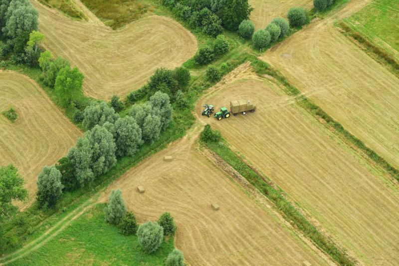 Vilda_136538_Keuzemeersen_Yves_Adams_800_px_6665