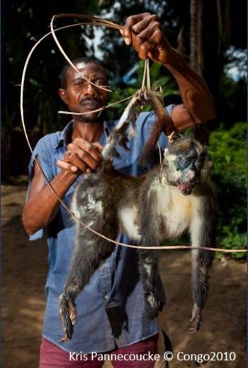 BopCo Bushmeat 