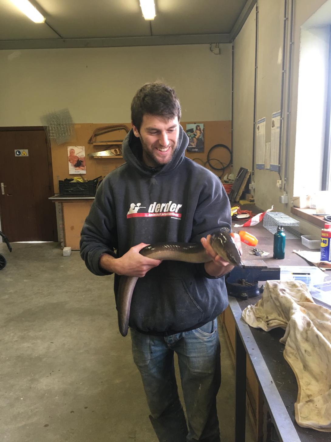 Pieterjan holds eel in lab