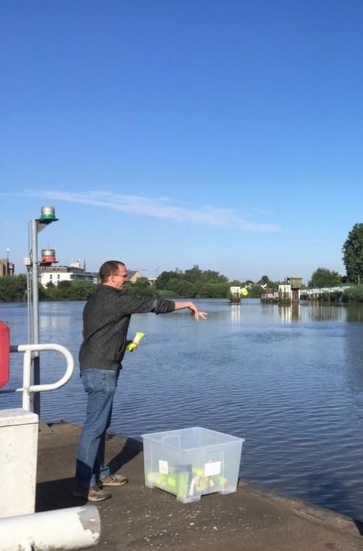 release marked items