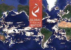 global fishing watch logo