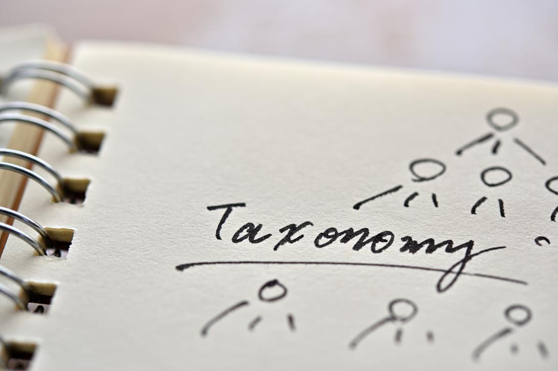 taxonomy