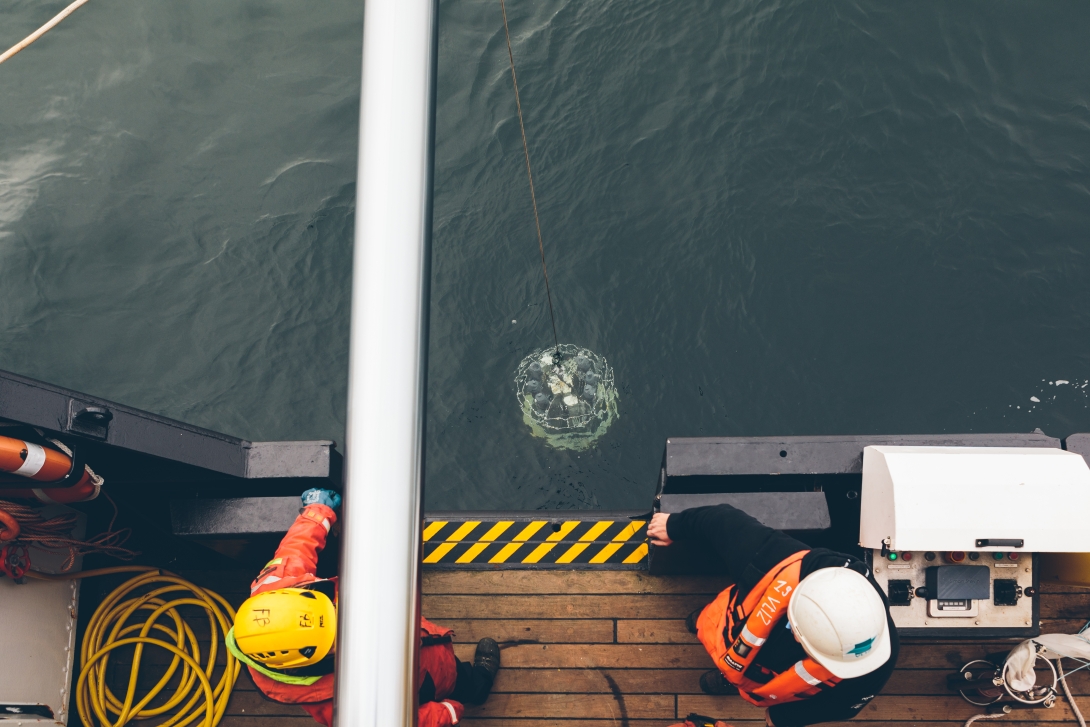 Water samples taken onboard of the research vessel